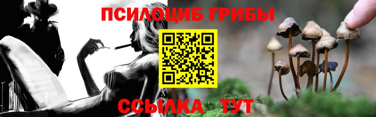 Галлюциногенные грибы мицелий Отрадный
