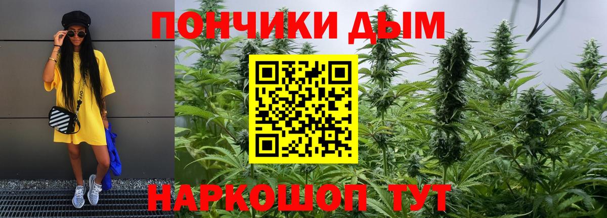 Марихуана индика Отрадный